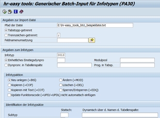 Screenshot hr-easy tools: Generischer Batch-Input auf Infotypen (PA30)